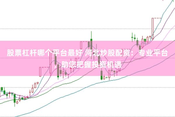股票杠杆哪个平台最好 河北炒股配资：专业平台，助您把握投资机遇