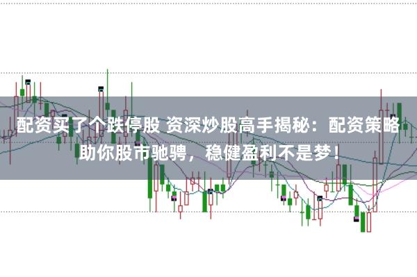 配资买了个跌停股 资深炒股高手揭秘：配资策略助你股市驰骋，稳健盈利不是梦！