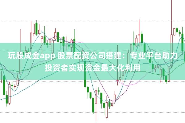 玩股成金app 股票配资公司搭建：专业平台助力投资者实现资金最大化利用