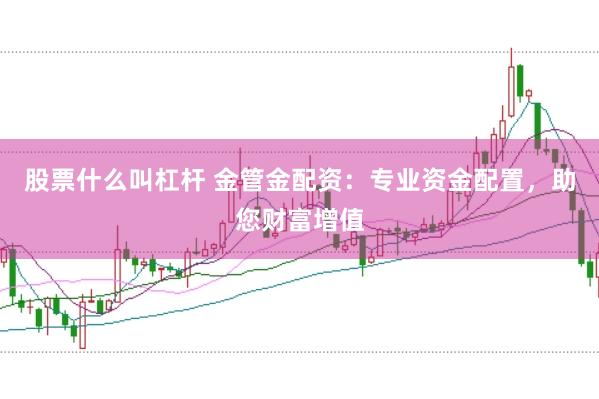 股票什么叫杠杆 金管金配资：专业资金配置，助您财富增值