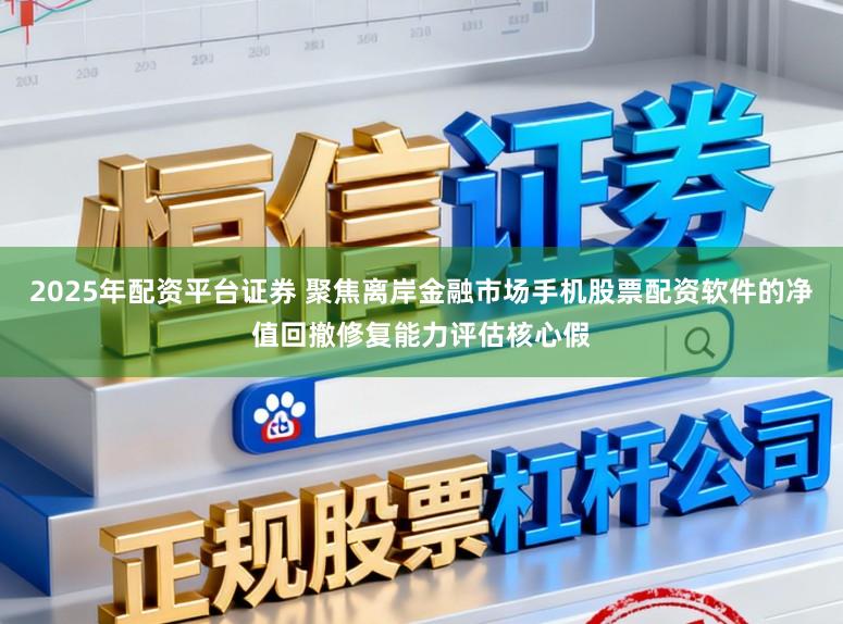 2025年配资平台证券 聚焦离岸金融市场手机股票配资软件的净值回撤修复能力评估核心假