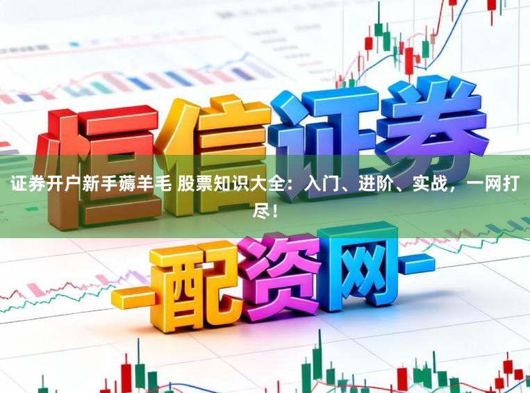 证券开户新手薅羊毛 股票知识大全：入门、进阶、实战，一网打尽！